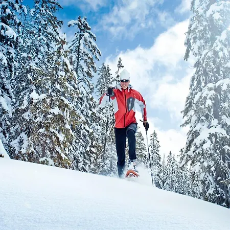 In Near Slopes, Cleaning Included Alpehytte *